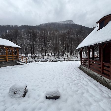 Woods Retreat Villa Riu de Mori Exterior photo
