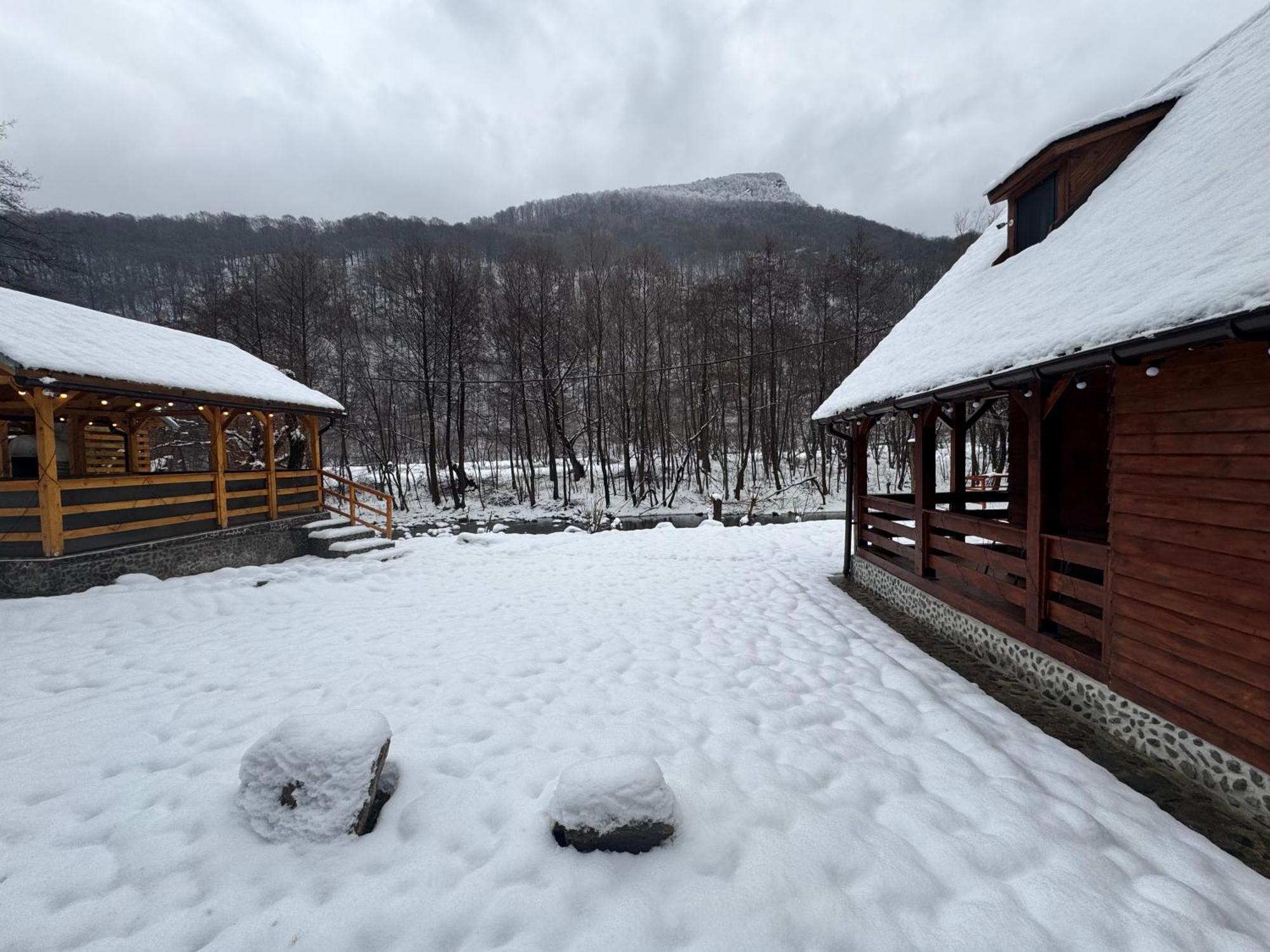 Woods Retreat Villa Riu de Mori Exterior photo